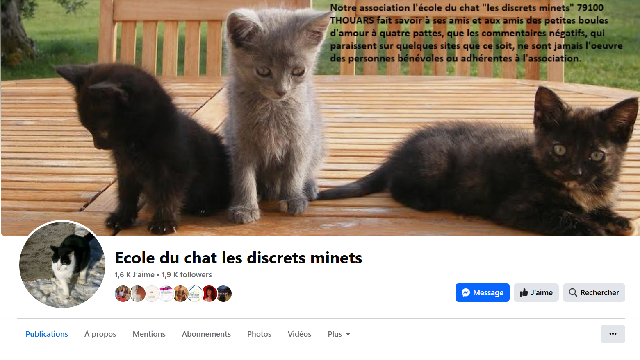 Les discrets Minets